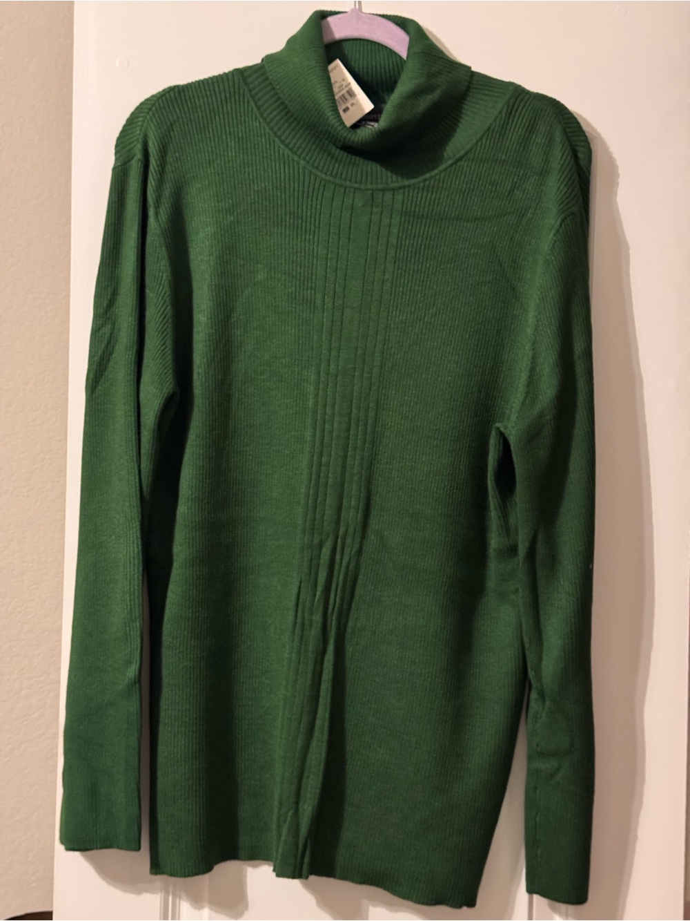 Ashley Stewart Eden Green Turtleneck Sweater